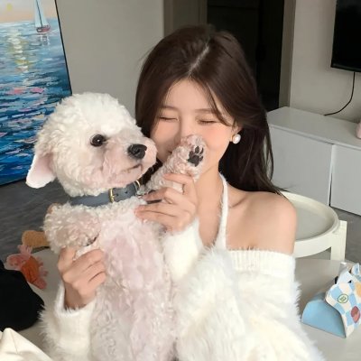 明星志愿